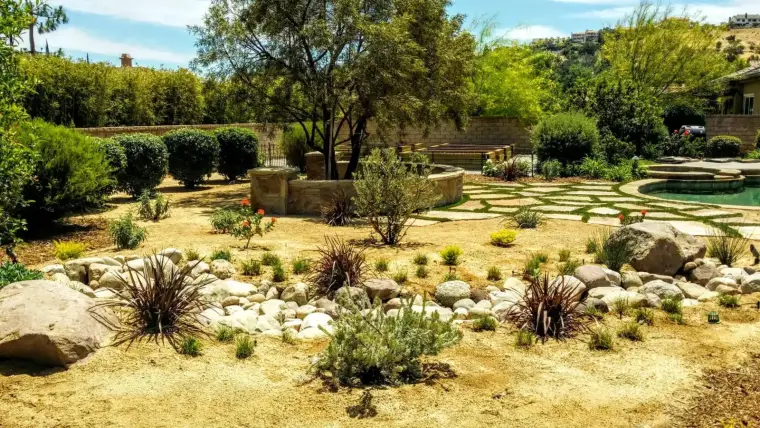 Desert landscape garden with rocks, shrubs, and a stone pathway in a sunny backyard setting.