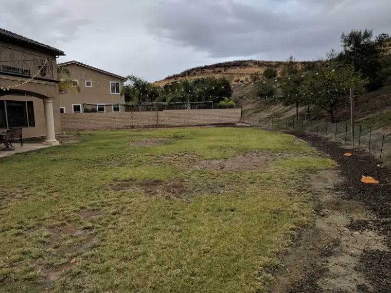 Lawn space in residential backyard, with hills and a fence in the background.