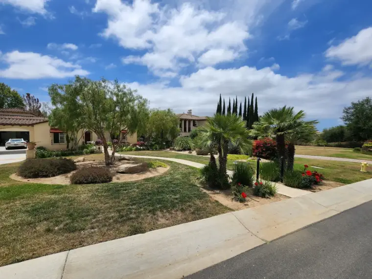 Residential landscape featuring palm trees, flower beds, and a blue sky.