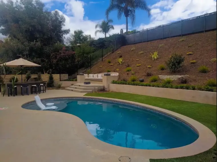 Modern backyard with a curved pool, patio seating, and lush landscaping under a blue sky.