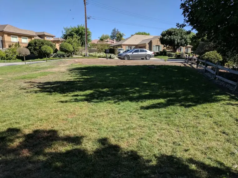 Empty green lawn with scattered shade, residential houses, and a parked car nearby.