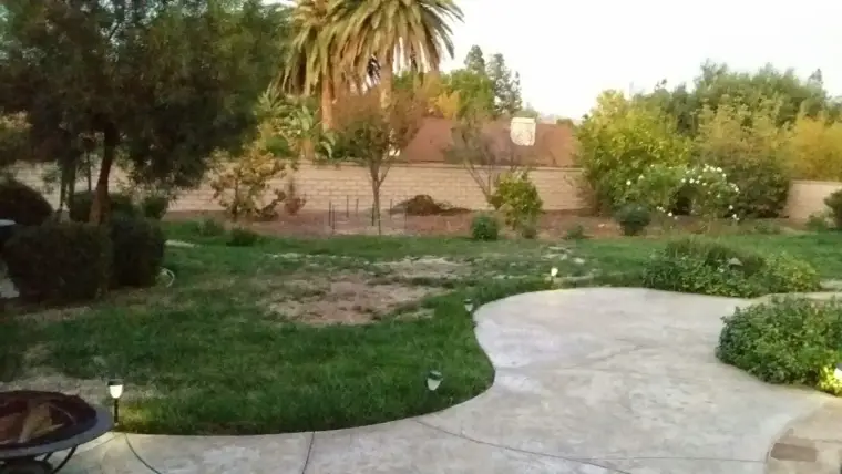 Lush garden with palm trees, stone pathway, and illuminated landscaping at dusk.