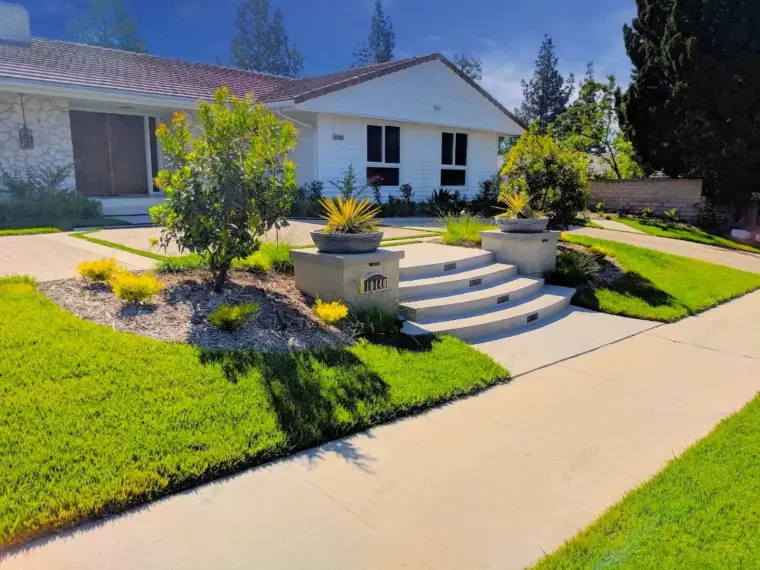 Home entrance with stone steps, landscaping, and potted plants in a sunny neighborhood.