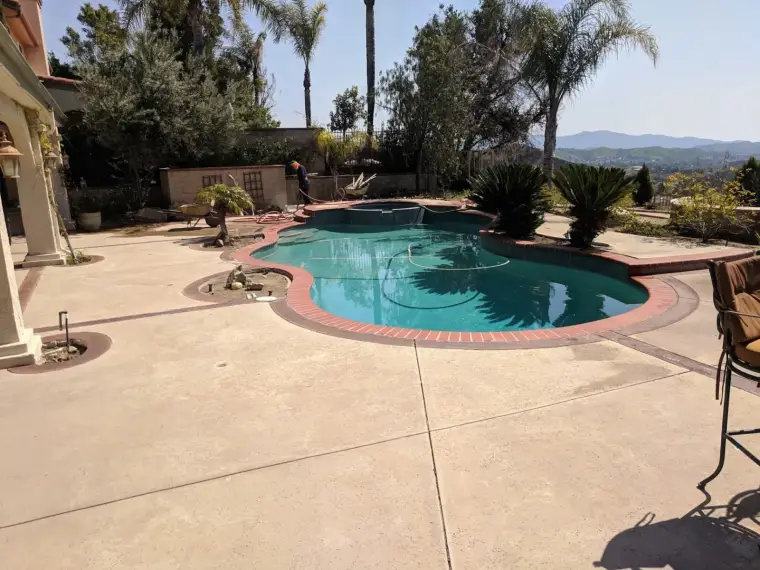Swimming pool with palm trees and mountain view in a sunny backyard setting.