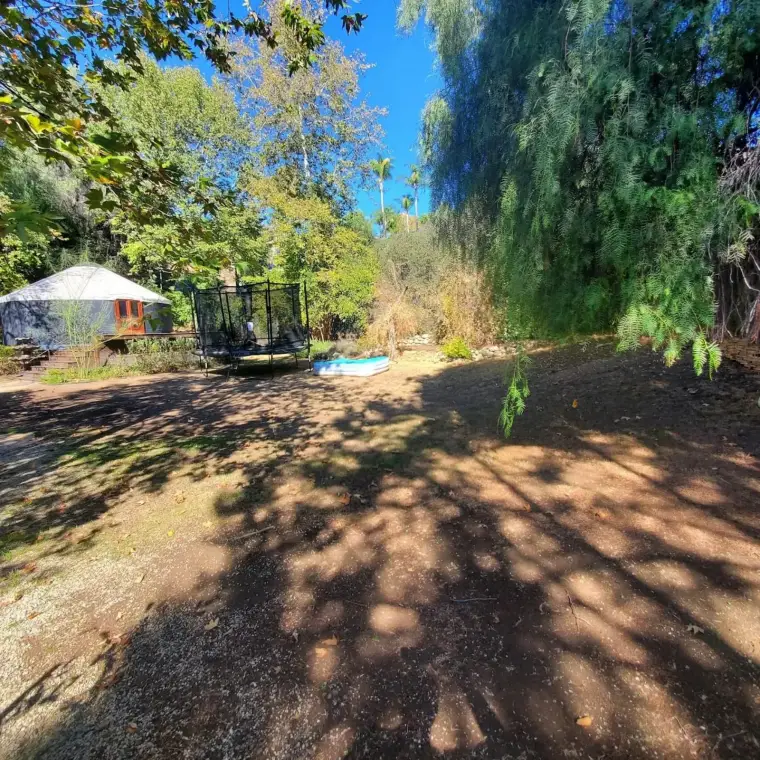 Tranquil backyard scene with trampoline, blue pool, and lush greenery in sunlight.