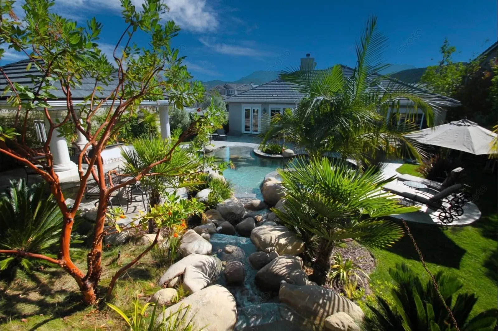 Lush backyard oasis with pool, palm trees, and rock features under a sunny blue sky.
